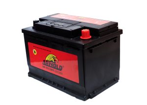 Arnold battery 17 plate