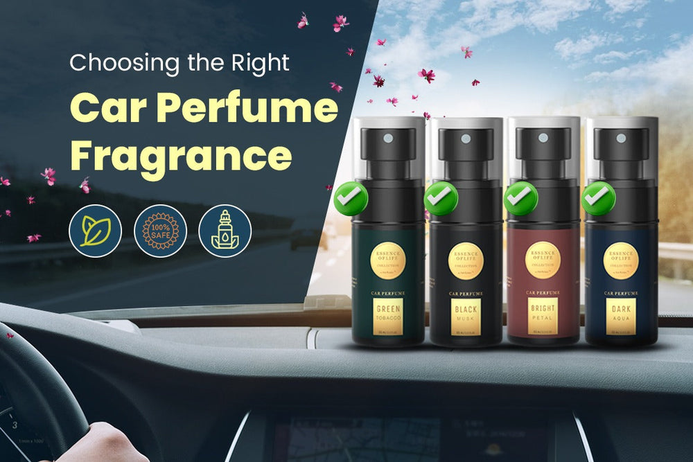 Car Fragrances
